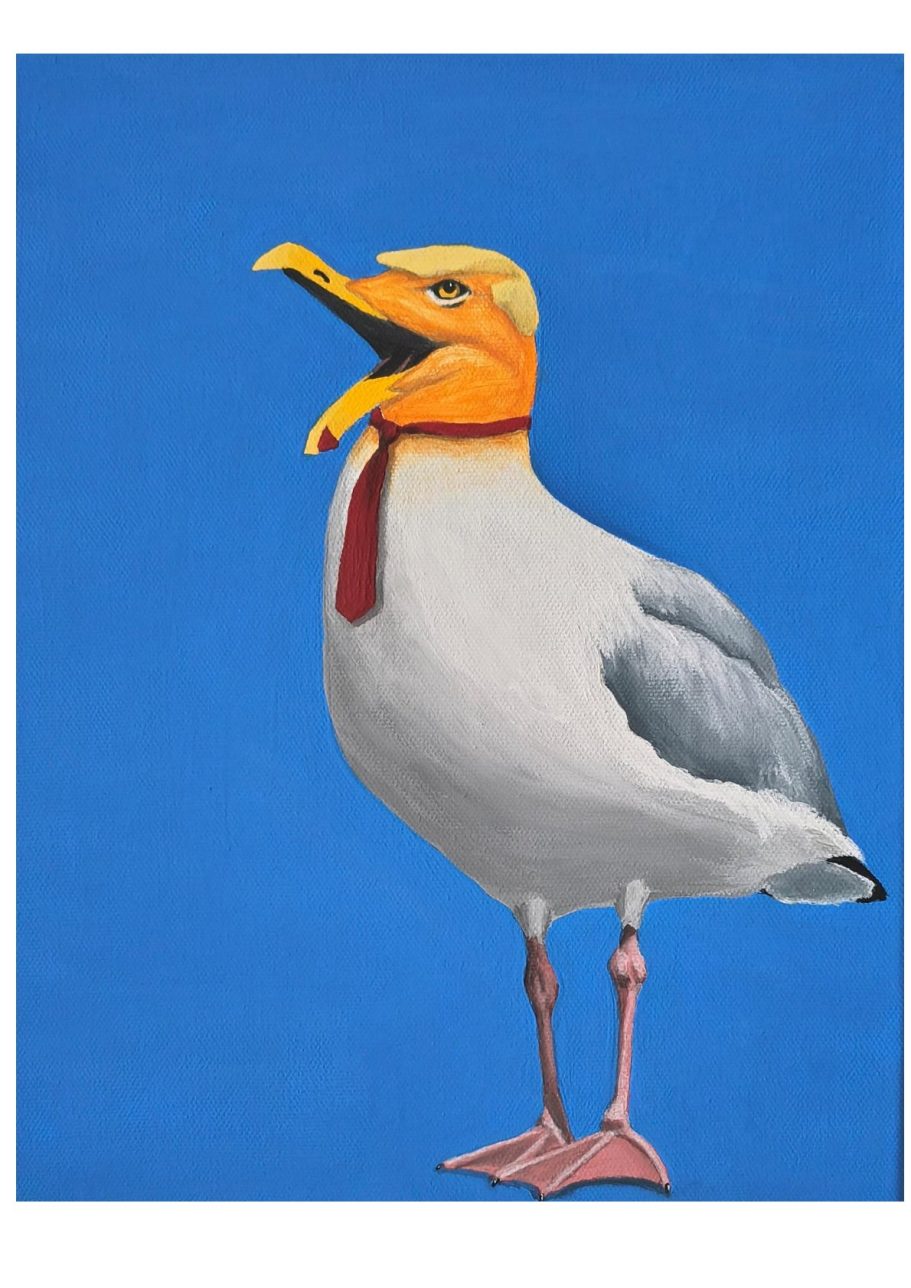 Föhr föhrst! 2.0, 30x24 cm