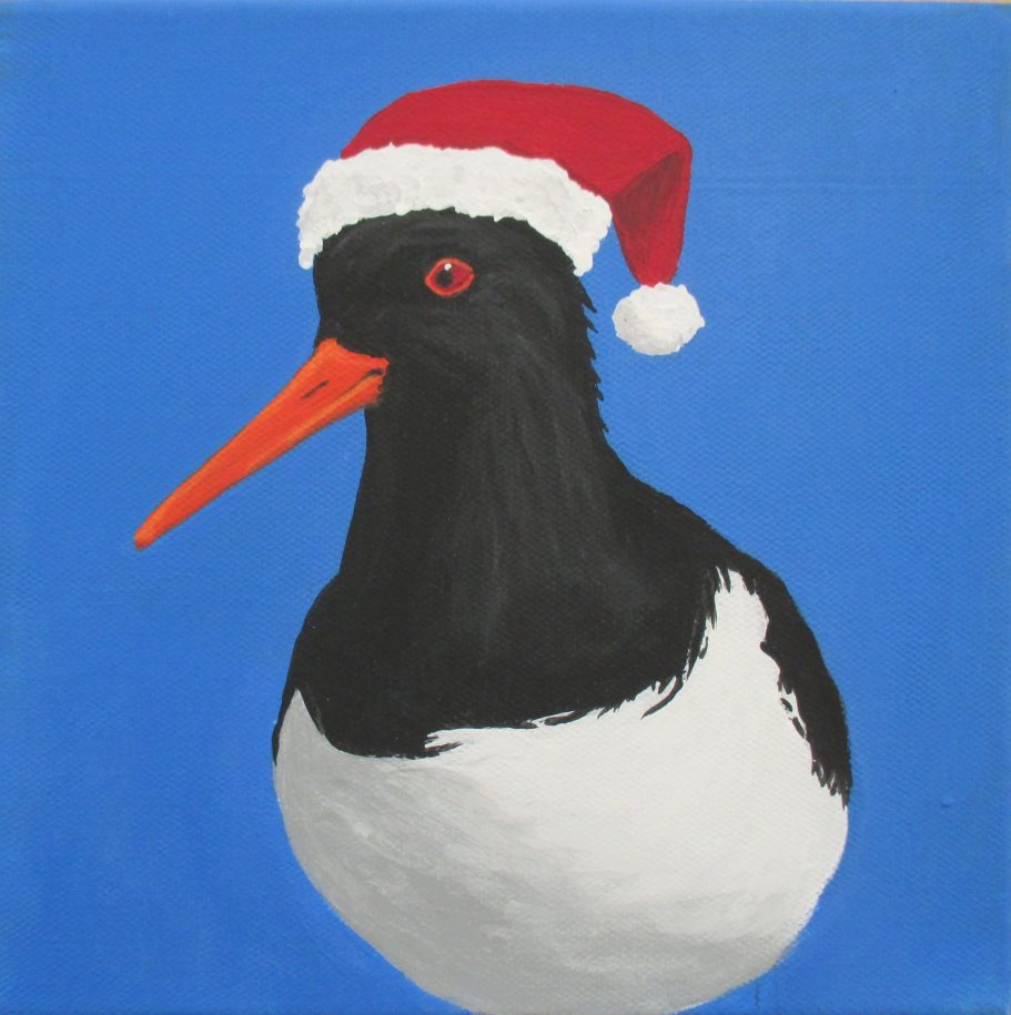 Ein Austernfischer mit Weihnachtsmütze