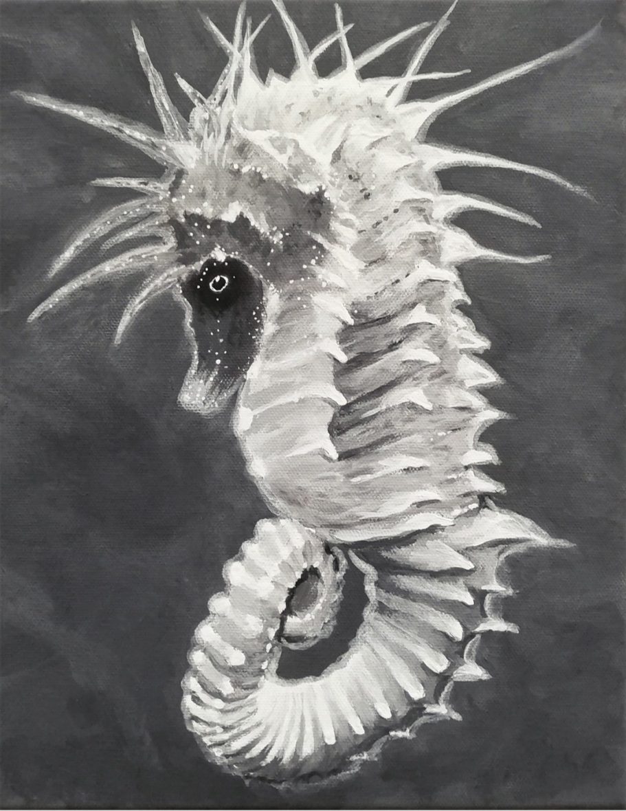 Seepferdchen, 30x24 cm